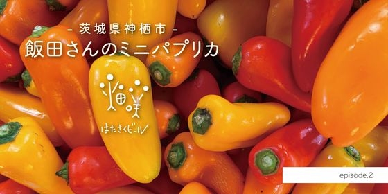 畑咲くビール プロジェクト第二弾 イチゴのように甘いミニパプリカを使ったクラフトビールを販売開始 Newscast