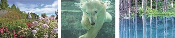 北海道 美瑛・富良野 旭川動物園(イメージ)