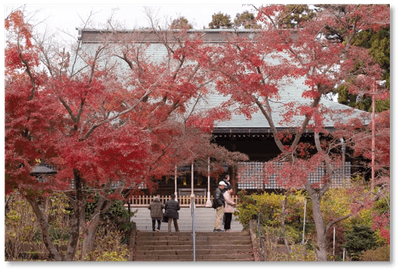 本土寺