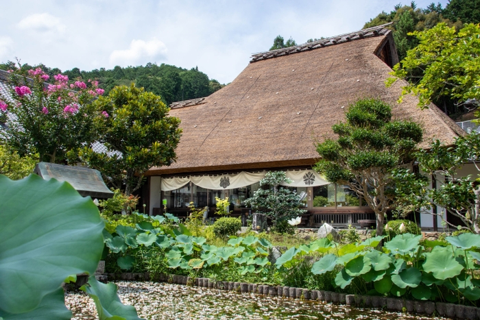 禅定寺