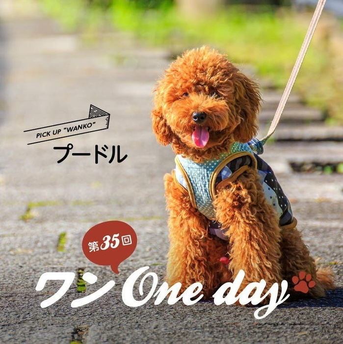 ワン One day!