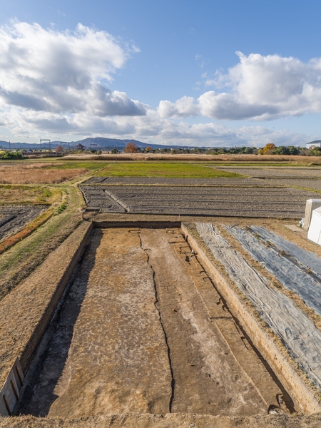 東院南方遺跡の発掘調査(平城第667次調査)