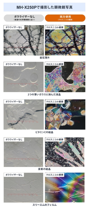 2種類の観察方法による観察例