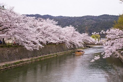 岡崎公園・琵琶湖疏水