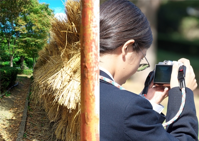 秋さんぽ―町田工科生と歩く杜―　タイトル　朝日！スーパードライ(乾燥中)