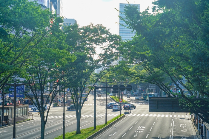 仙台市風景