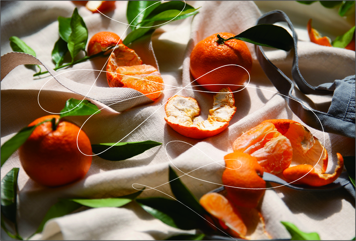 「株式会社オレンジページ」は、 「株式会社オレンジページ」にかわります。