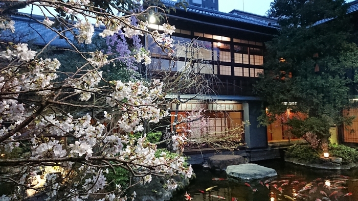 桜シーズンイメージ