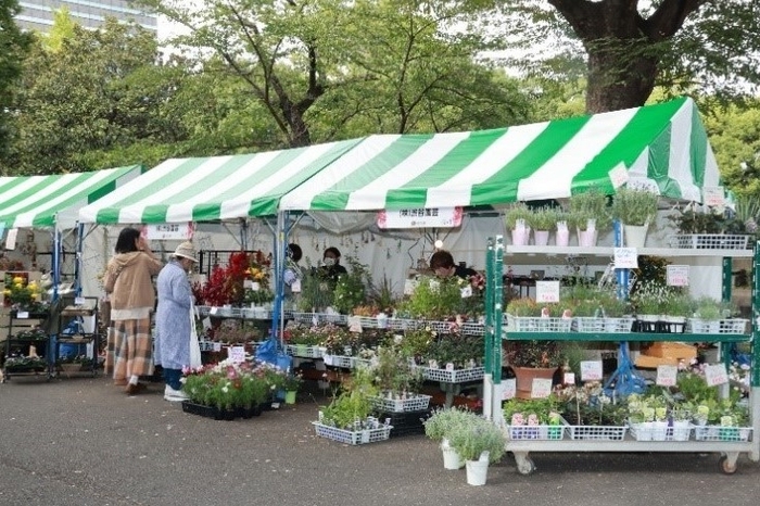 昨年の出展の様子