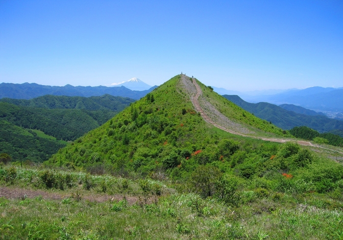 ご飯を盛ったような山容から名付けられた、飯盛山