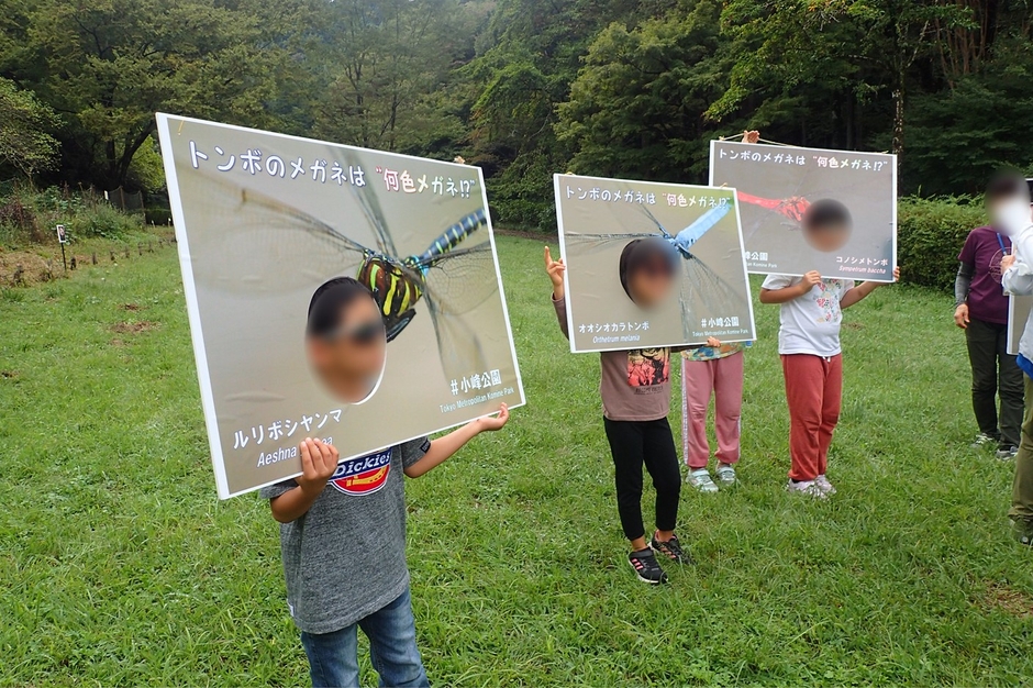 トンボの視界ってこんなふうなんだ