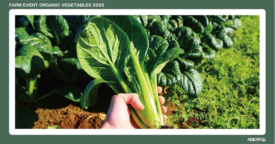 有機野菜3種収穫体験イベントイメージ画像④