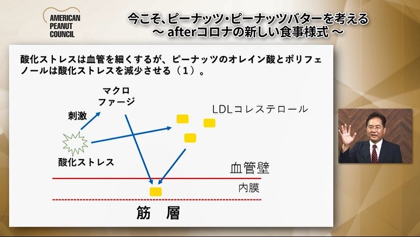 酸化ストレスは血管を細くするが、ピーナッツのオレイン酸とポリフェノールは酸化ストレスを減少させる