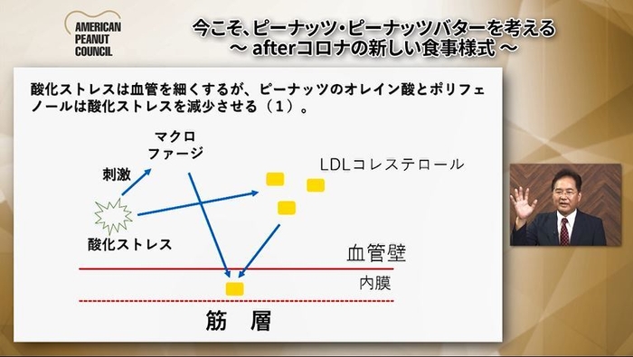 酸化ストレスは血管を細くするが、ピーナッツのオレイン酸とポリフェノールは酸化ストレスを減少させる