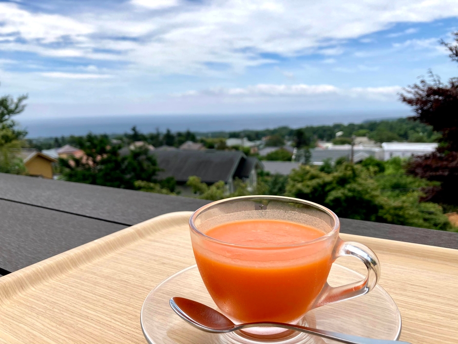 断食中のスムージー(内臓のリカバリー)