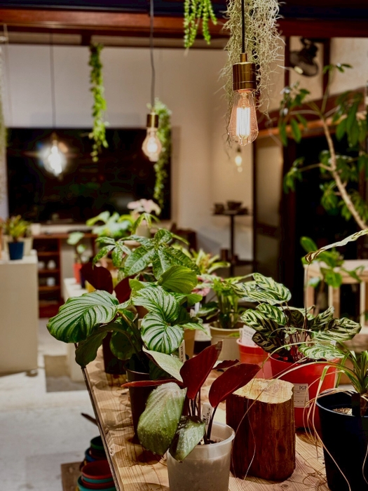 展示色見イメージ(3)