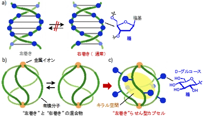 らせん型カプセルによる最高レベルのキラル伝達　－新しい高機能キラル空間の作り方－