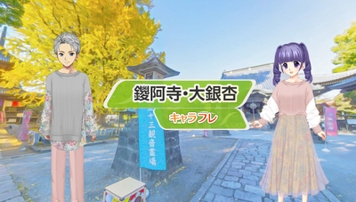 『鑁阿寺』の景観が秋の装いに衣替えし、荘厳な大銀杏が見学できます