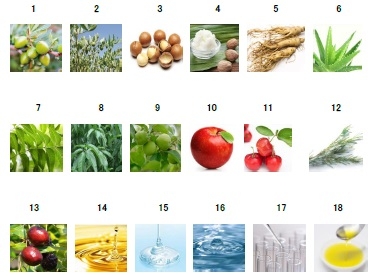 <美容保湿成分>(写真はイメージ)