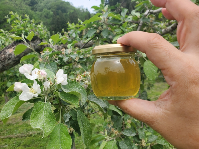 りんごの花とりんご蜂蜜