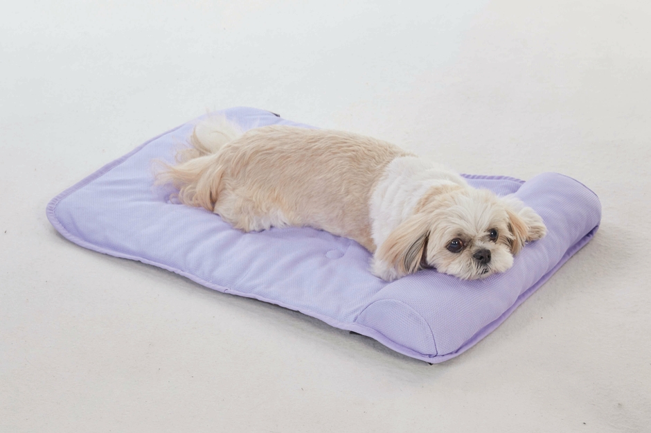 「ソフトクールマット」新色パープルも登場!