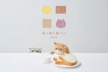 【和歌山県に初オープン】ねこの形の高級食パン専門店「ねこねこ食パン」がイオンモール和歌山に登場！