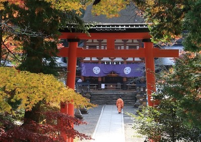 空海に高野山の土地を授けたとされる女神を祀る「丹生都比売神社」