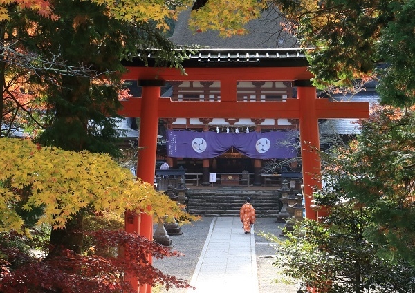 空海に高野山の土地を授けたとされる女神を祀る「丹生都比売神社」