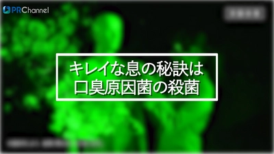 身だしなみで最も気をつけているのは「口臭」 7割超が自身の口臭ケアに不安という結果も 口臭を科学する「口臭科学研究所」サイトが公開