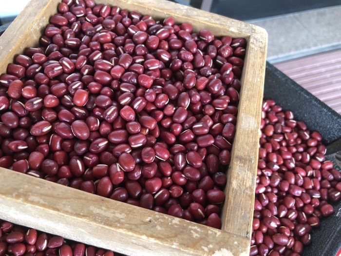 丹波大納言小豆 ※画像はイメージです。
