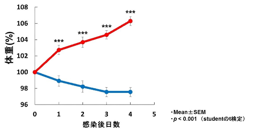 図2 RSウイルスを感染させたマウスの体重の推移