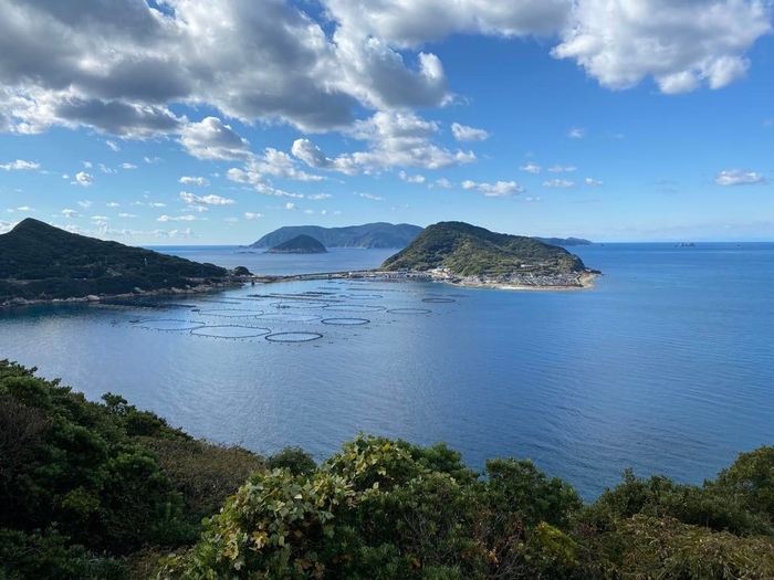 柏島