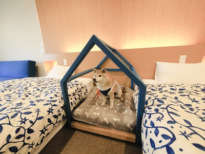 客室