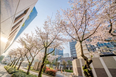 大阪の桜が開花間近！ 大阪ダイヤモンド地区 さくらフォトコンテスト2019 ～『都会の真ん中に咲く桜』ならではの美しい景色を撮りに行こう～ 3月20日(水)～4月15日(月)開催