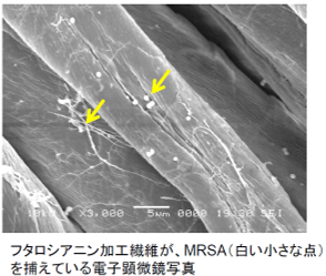 MRSA抑制