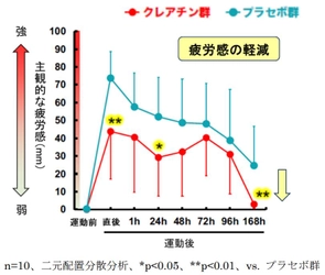 『クレアチンによる運動後に残る疲労感・筋肉の張り・筋力低下の軽減効果』を ヒト試験で確認