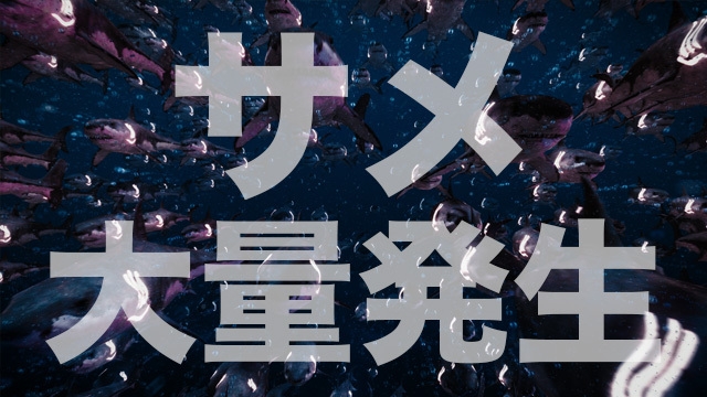 リターン:サメマシマシプラン