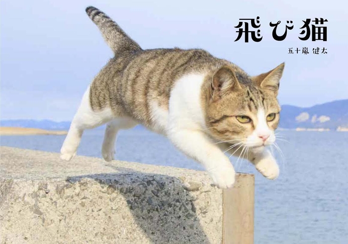 飛び猫写真集 1,320円(税込)