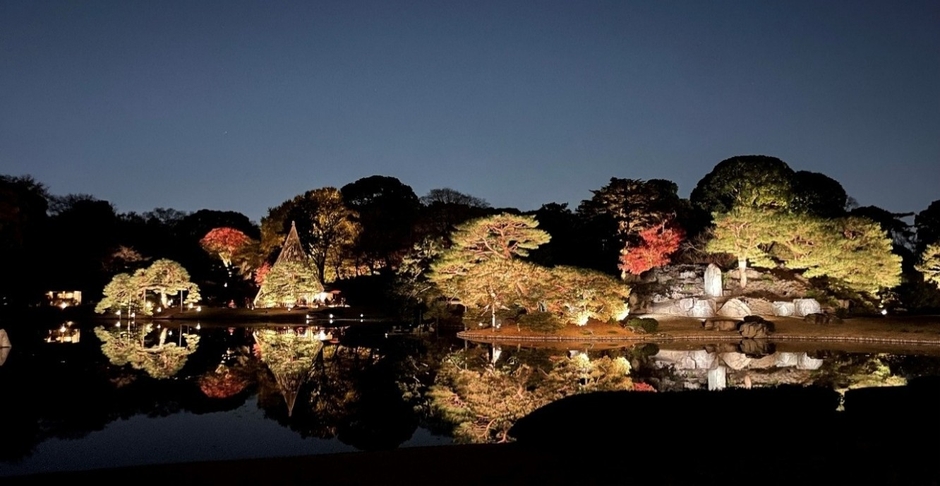 ライトアップされた中の島(昨年の様子)