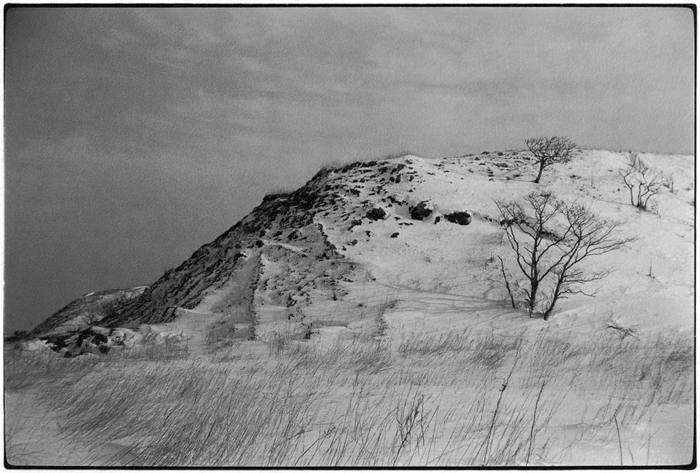 「鹿渡り」より 根室市長節 2016