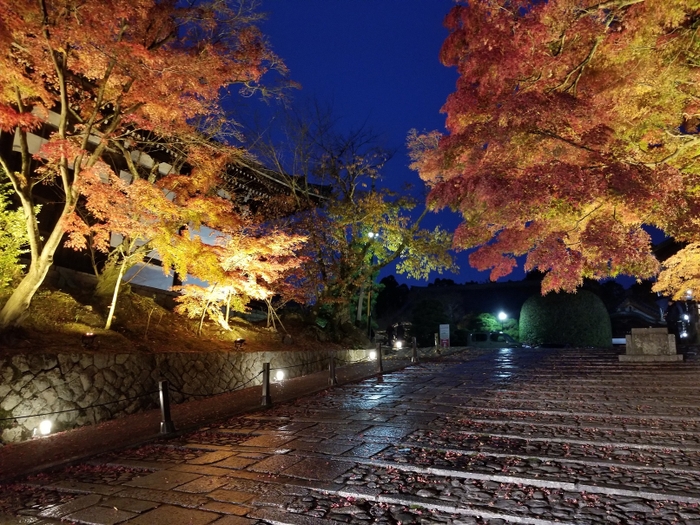 紅葉の参道