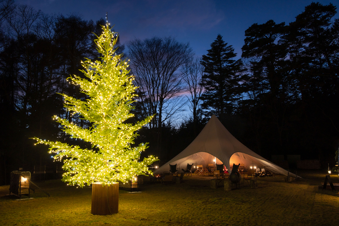 「TAKIBIラウンジ」のプリミティブな雰囲気に合わせた、光のクリスマスツリー