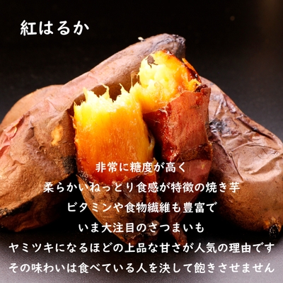 紅はるか 4本