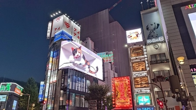 日本3Dディスプレイ市場規模は2034年までに米ドル48,300.6百万に達し、15.49%の年平均成長率を示すと予測されている