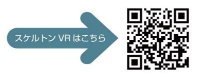 スケルトンのVRをご用意しています