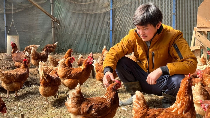 平飼いの様子