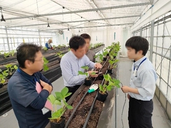 スマート農業分野の灌水制御技術をデンソーと共同で検証開始