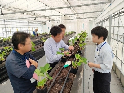 スマート農業分野の灌水制御技術をデンソーと共同で検証開始