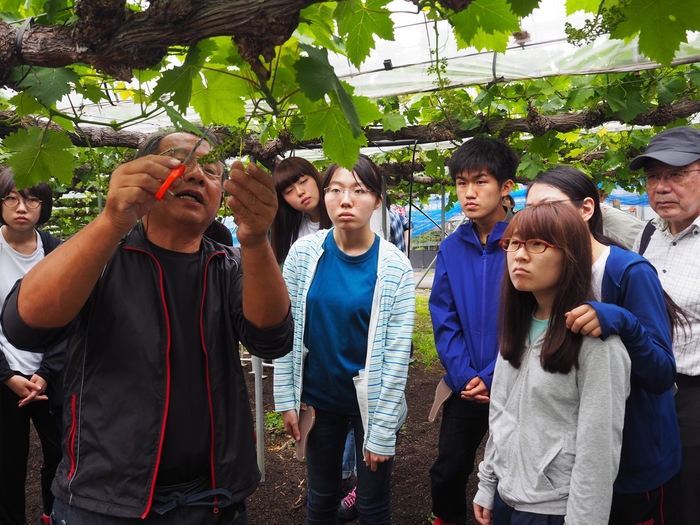 ５月には花摘み作業を行いました