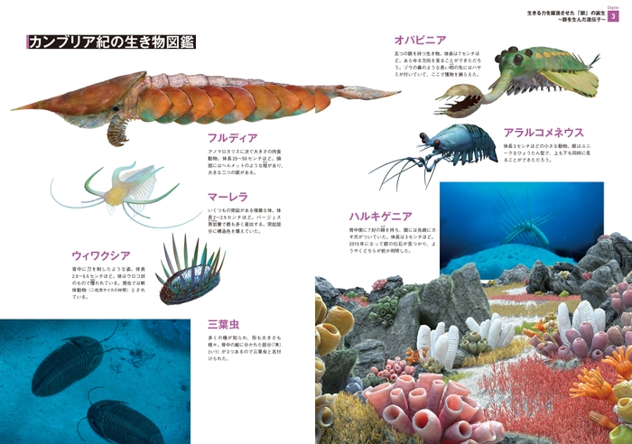 『ダーウィンが来た! 生命大進化』中面